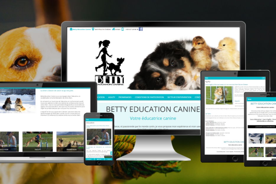 Cration site Internet Thonon